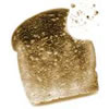 eat toast